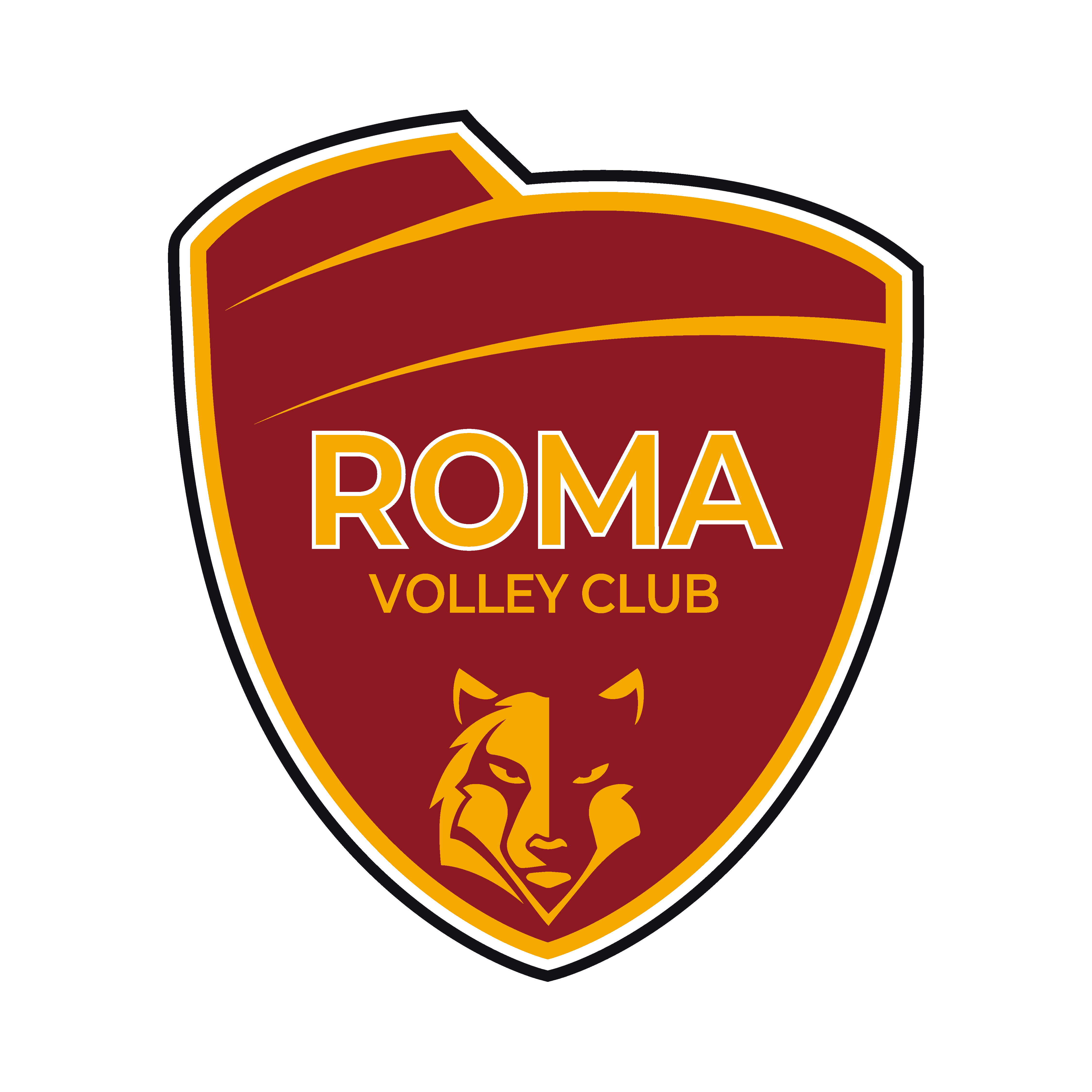 /storage/Roma Volley Club aeroitalia partner