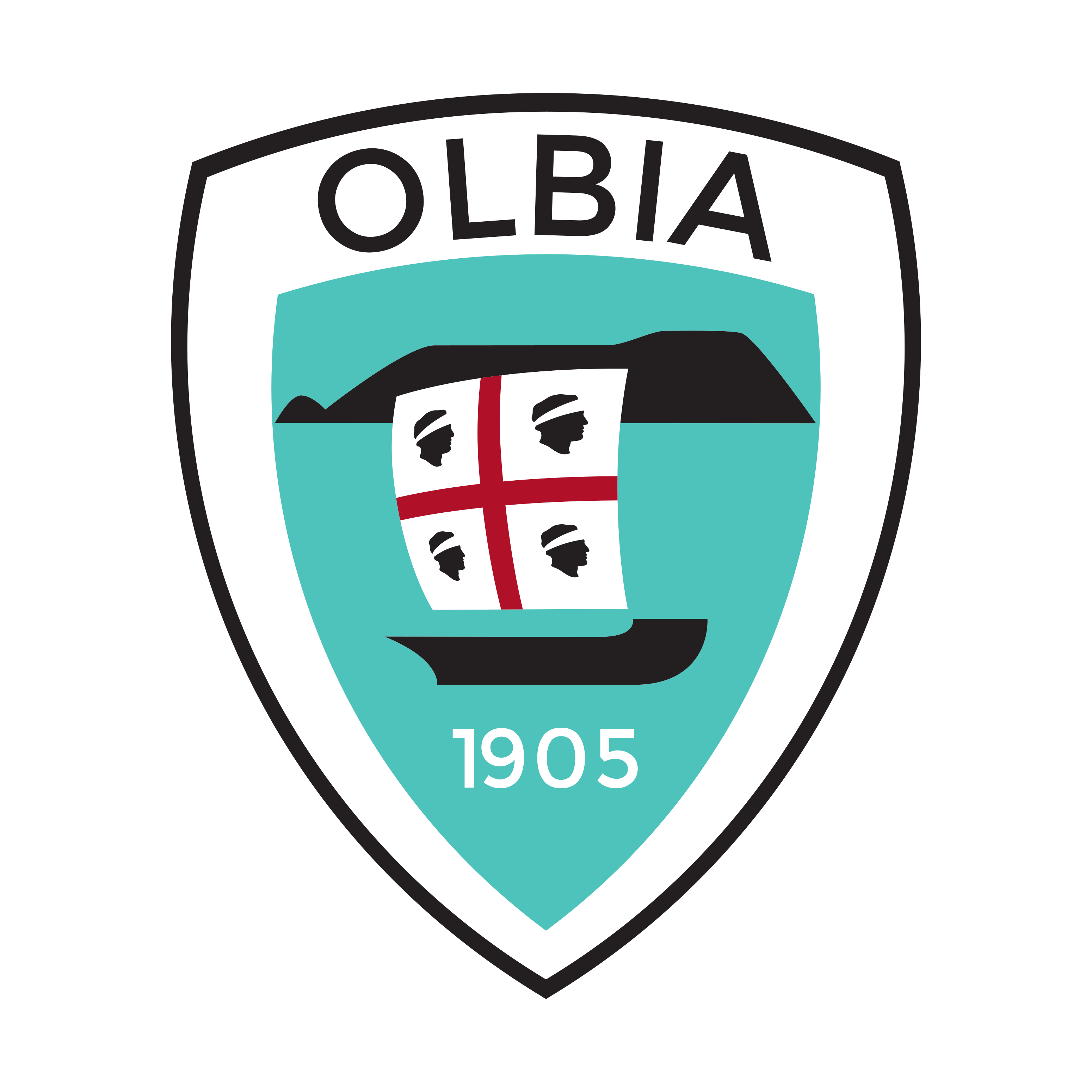 /storage/Olbia Calcio aeroitalia partner