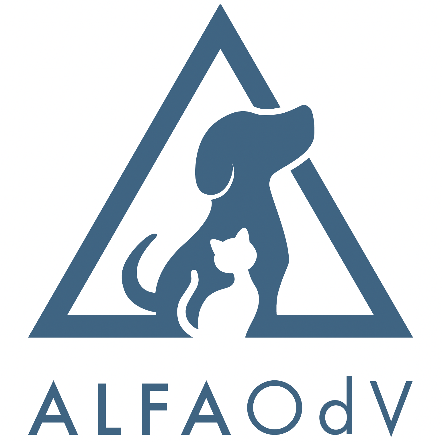 /storage/AlfaOdv aeroitalia partner